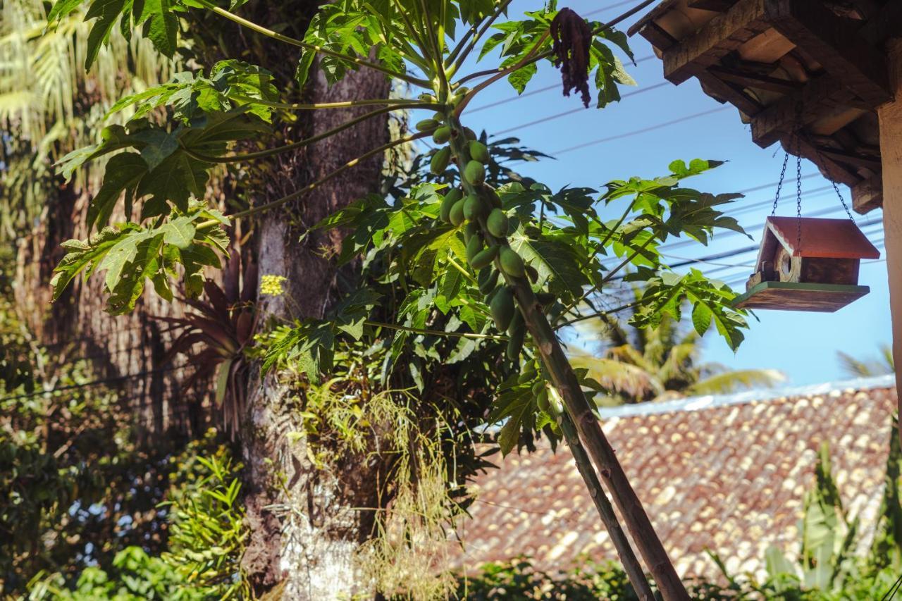 Pouso Do Farol Hotel Ubatuba Ngoại thất bức ảnh